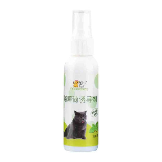 Catnip Spray for Cats UK | Natural Cat Attractant Spray