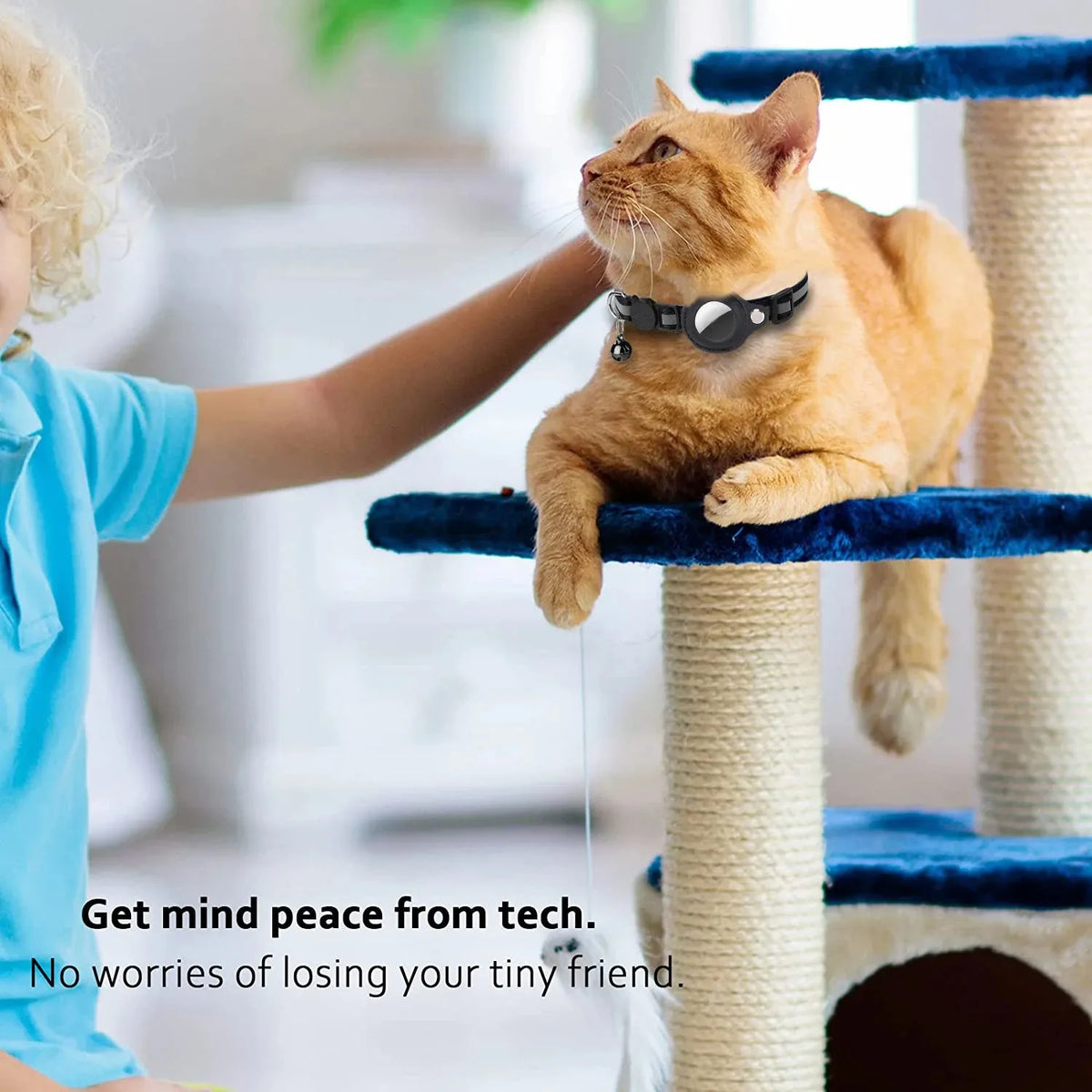 Jelieora Venture reflective nylon cat collar with bell and breakaway safety buckle, GPS tracker holder for kittens and small pets.
