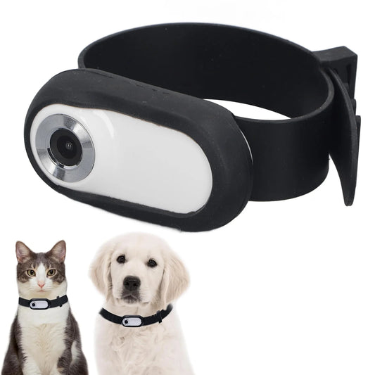 Jelieora Venture pet sports camera attached to a dog collar, featuring wide-angle lens and Full HD video for outdoor pet recording