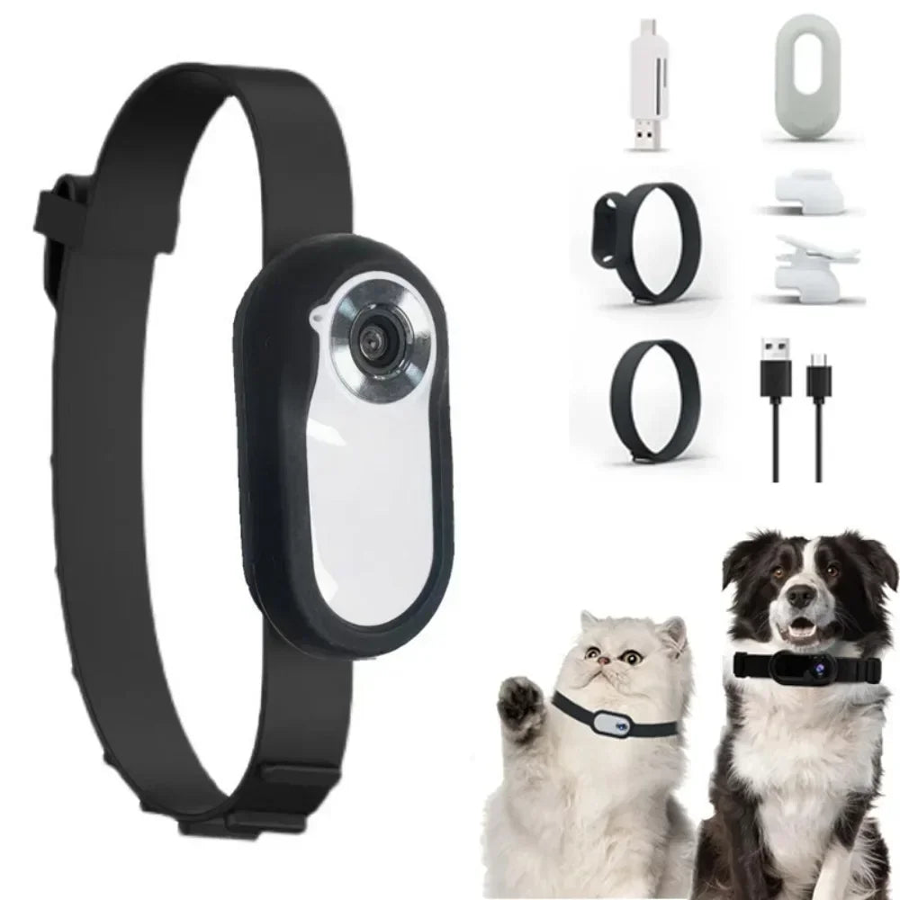 Portable Jelieora Venture HD 1080p pet camera with detachable collar, anti-shake design, ideal for cats and dogs outdoors.