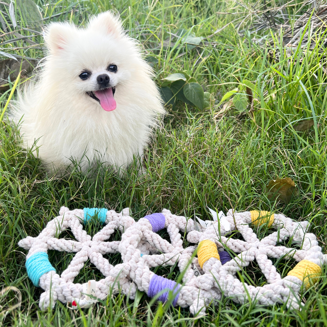 Color wheel Macrame Rope Pet Toy - Jelieora Venture