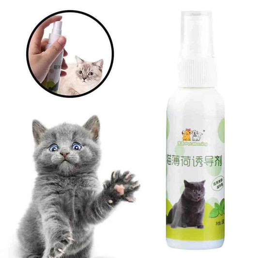 Catnip Spray for Cats UK | Natural Cat Attractant Spray