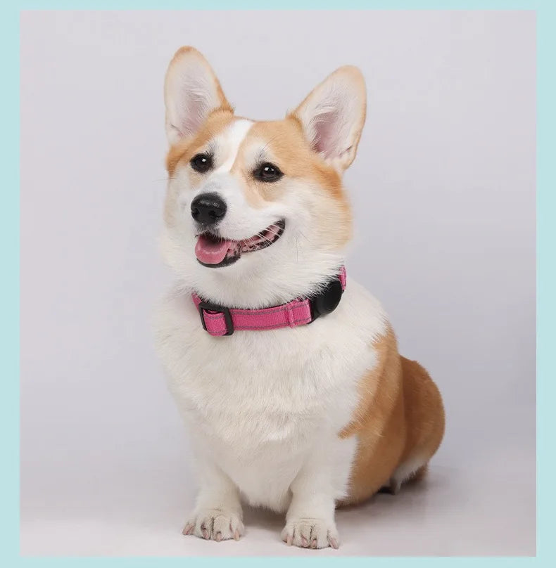 Artificial grass dog toilet by Jelieora Venture, showing a realistic pet potty solution with lush green synthetic turf.