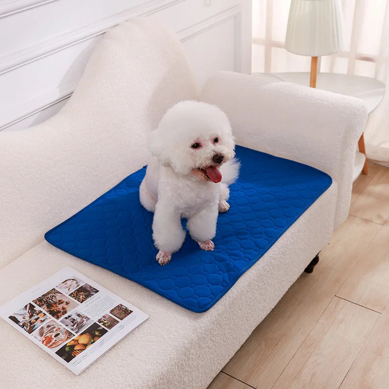 Jelieora Venture reusable dog pee pad blanket with absorbent puppy training pad and pet urine mat for car seat and pet bed use