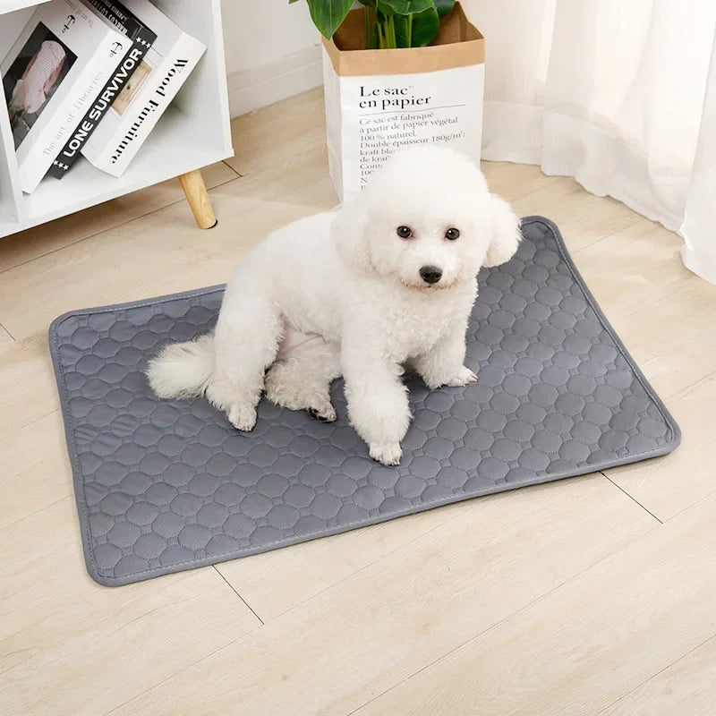 Jelieora Venture reusable pet pee pad blanket with absorbent puppy training pad and pet bed, suitable for car seats and pet training.