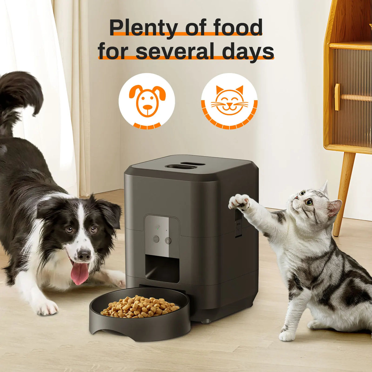Jelieora Venture automatic pet feeder for cats and dogs showing a modern food dispenser with a bowl and digital timer.
