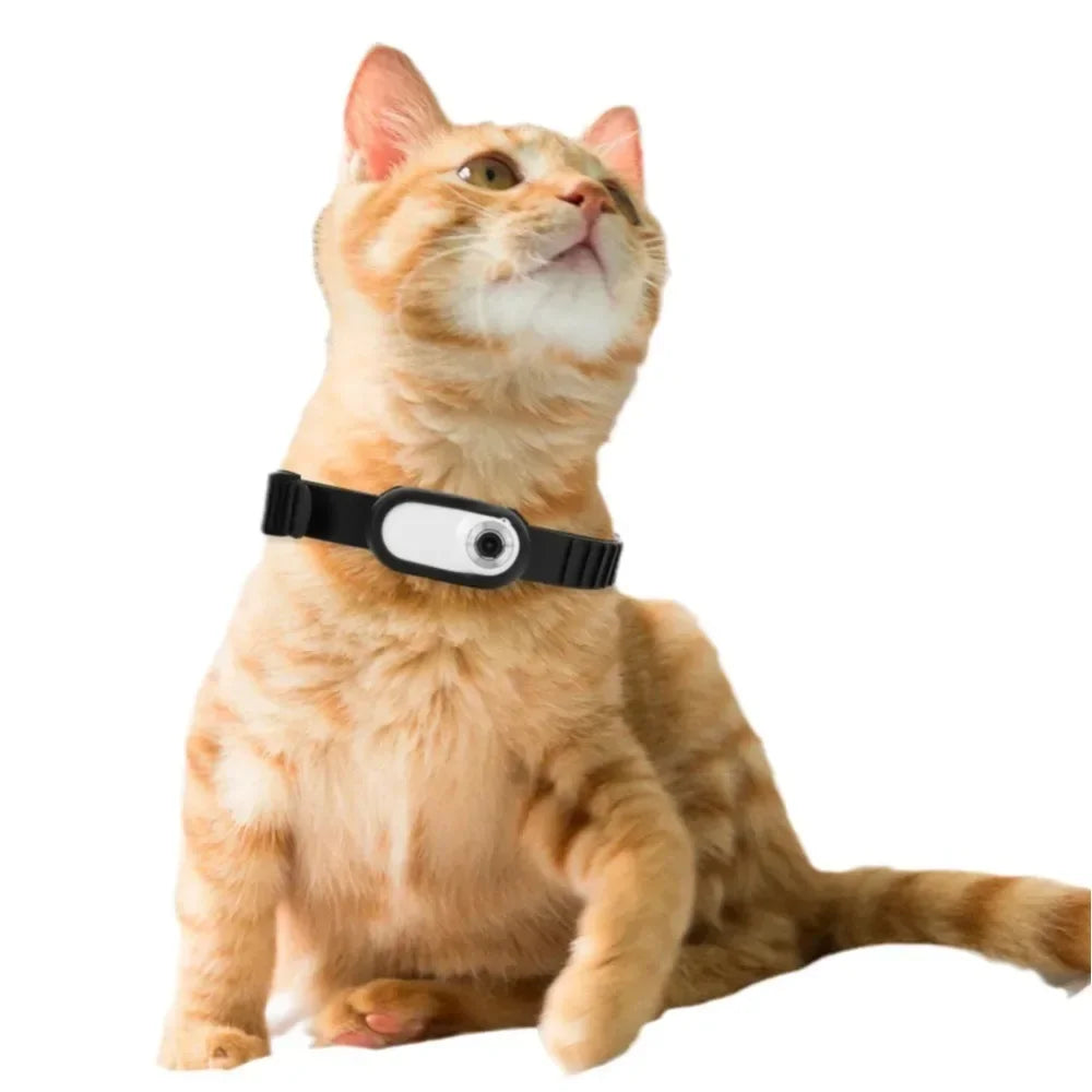 Jelieora Venture portable thumb pet camera with HD 1080p video, detachable design, anti-shake feature, for cats and dogs.