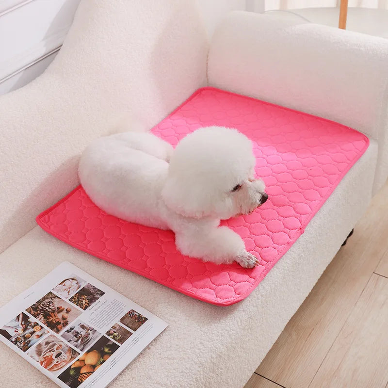 Jelieora Venture reusable dog pee pad blanket with absorbent surface, ideal for puppy training, pet beds, and car seat covers.