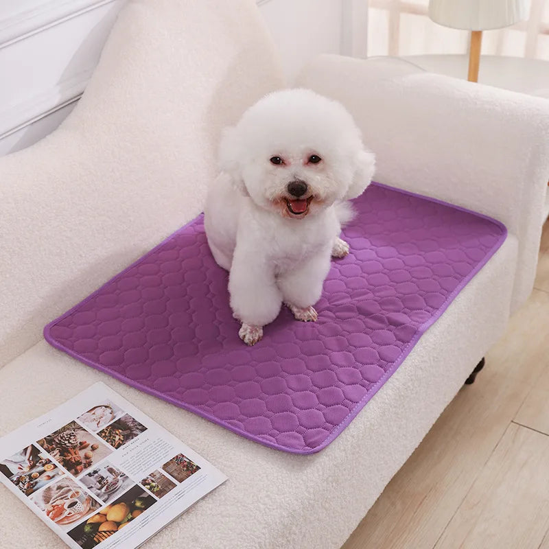 Jelieora Venture reusable dog pee pad blanket with absorbent surface, ideal for puppy training, pet beds, and car seat covers.