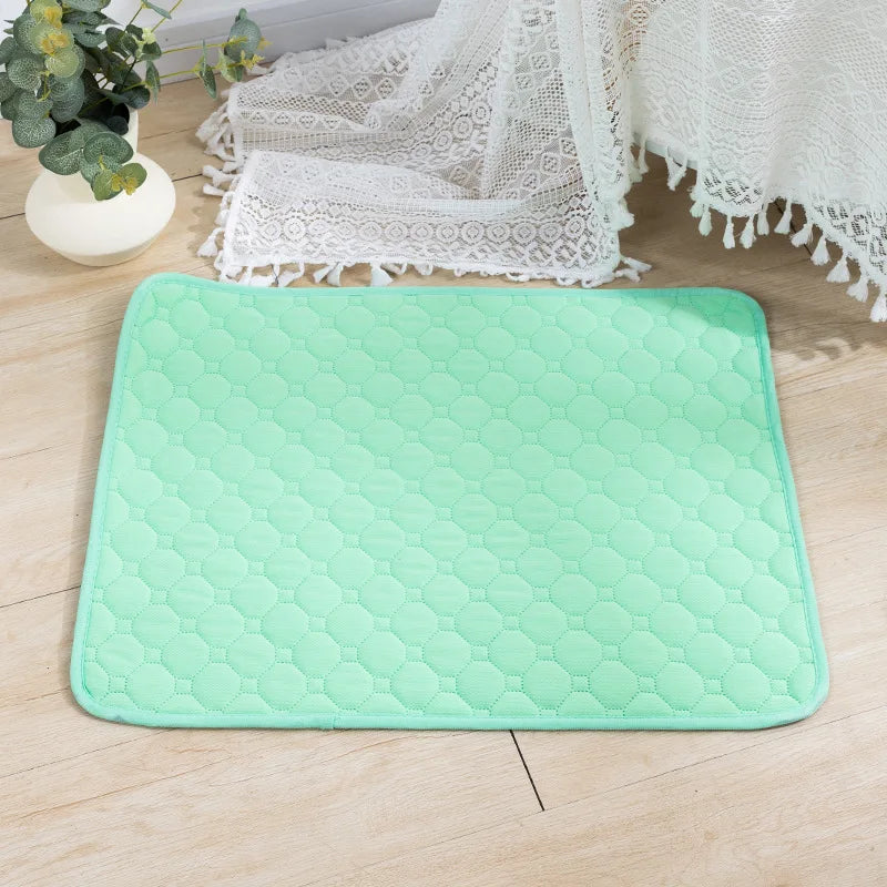 Reusable dog pee pad blanket and puppy training mat from Jelieora Venture, washable and absorbent for pet training and car seat protection.